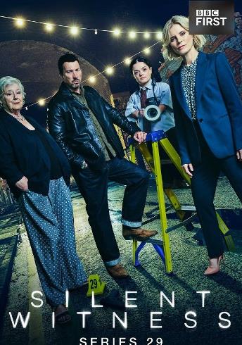 无声的证言第二十九季(全集)