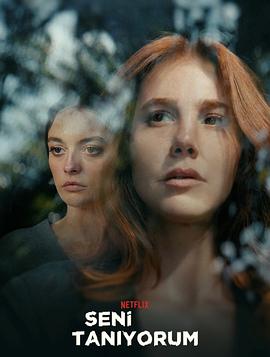 不识陌生人(全集)